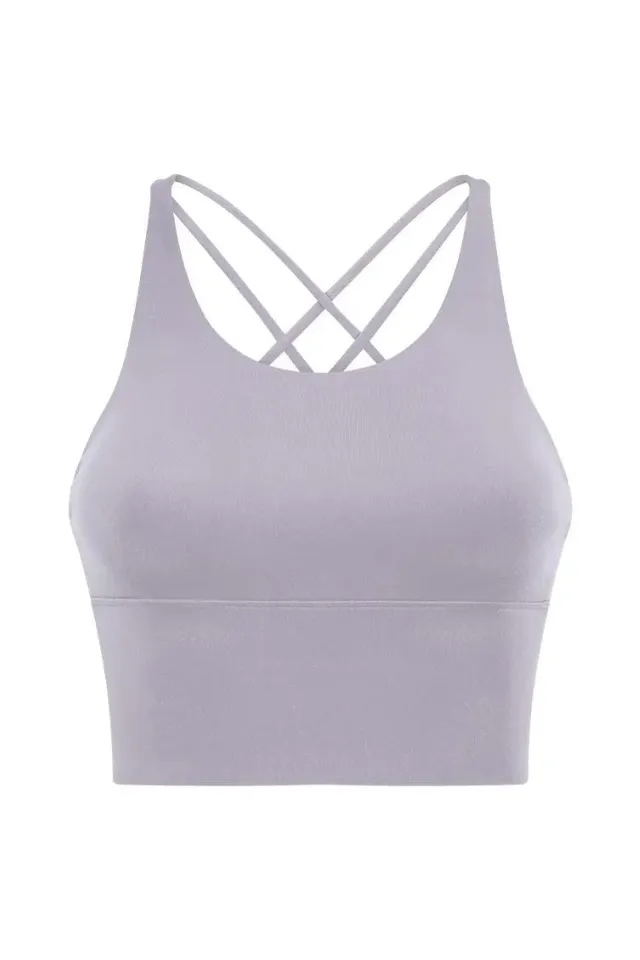 Alicia Lilac Gray Crop Top